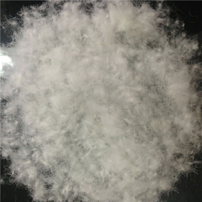 washed white duck down 50%