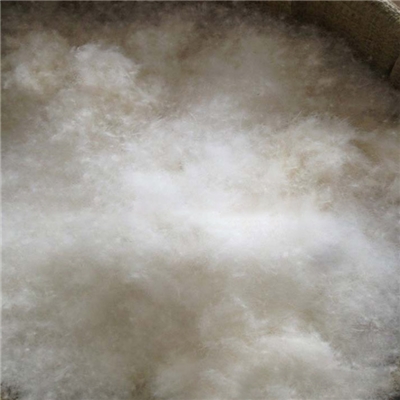 washed white duck down 80%