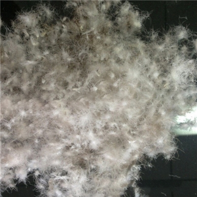 washed gred duck down 60%