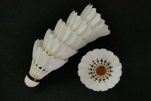 Premium Goose Broad Feather All Round