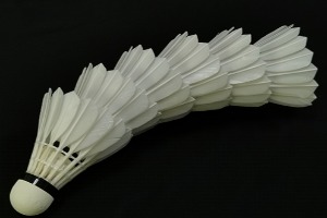 NO 4 Goose Broad Feather All Round