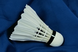 Cigu Duck  Big-Broad Feather