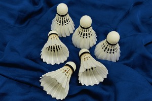 NO 1-2 Duck Broad Feather All Round