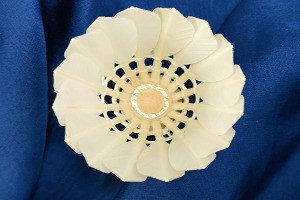 NO 4 Duck All Round  & Big-Broad Feather