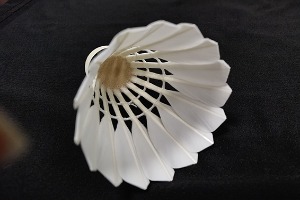 Goose Big-Broad Feather