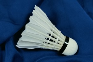 Cigu Duck Big-Broad Feather