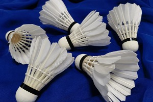 Cigu Duck Middle & Small-Broad Feather