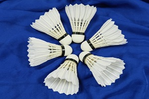 Cigu Duck Straighten Feather,Thick Stem All Round