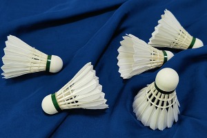 Duck All Round & Big-Broad Feather,Thick Stem