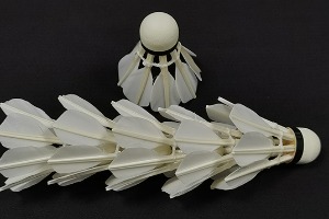 Goose Broad Feather All Round,8 slices